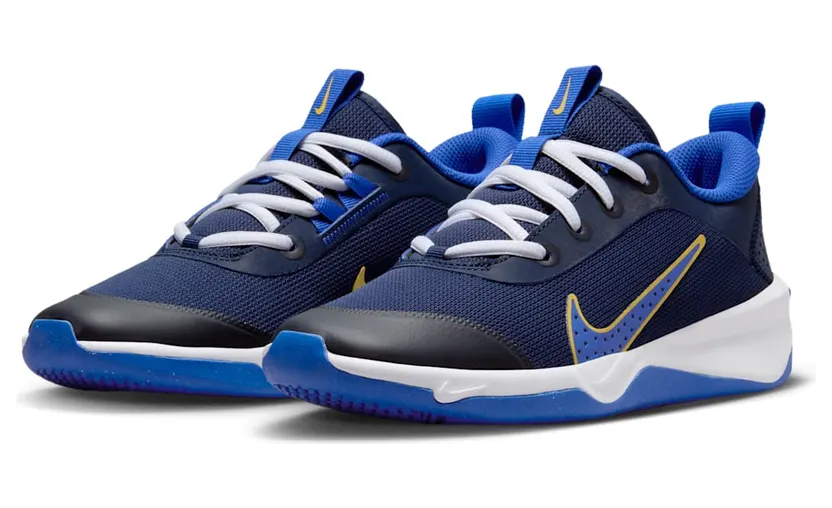 nike-omni-multi-court DM9027-404