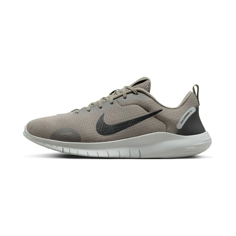 Nike Flex Experience Run 12 Light Army Light Silver Vintage Green (DV0740-300)