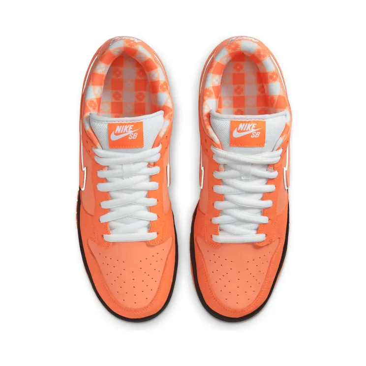nike-dunk-sb FD8776-800
