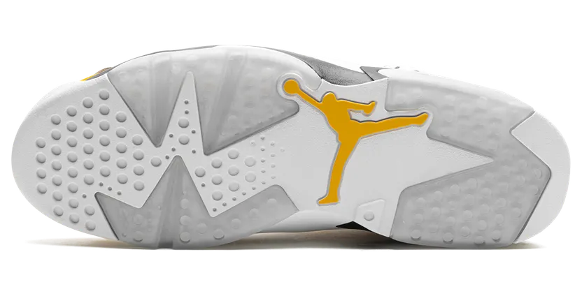 air-jordan-6 CT8529-170