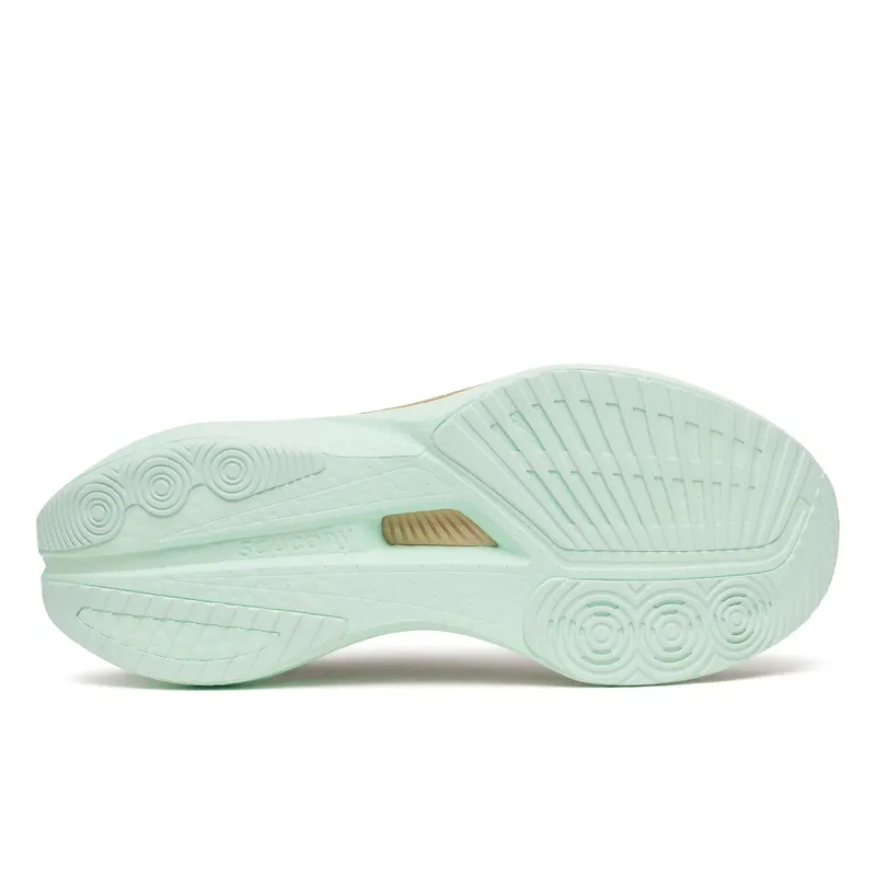 SAUCONY Endorphin Speed 5 “Black / Calm” (S11007-110)