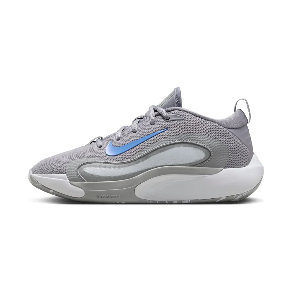 Nike IsoFly Cement Grey Light Smoke Grey Pure Platinum Royal Pulse (FN4384-002)