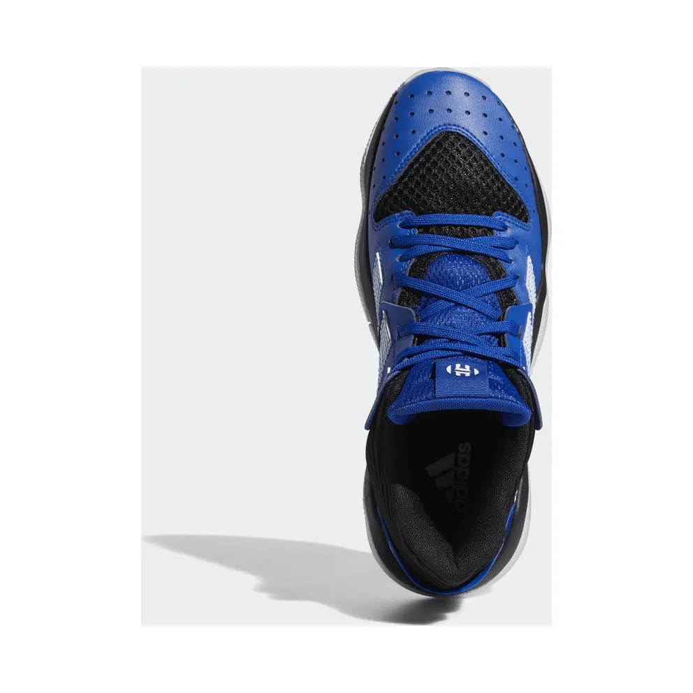 adidas Harden Stepback Core Black Team Royal Blue Core Black/Team Royal Blue/Cloud White (EG2769)