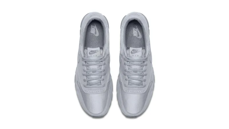 Nike  Air Zoom Epic Luxe Wolf Grey/Wolf Grey-Cool Grey Wolf Grey/Wolf Grey-Cool Grey (876140-002)