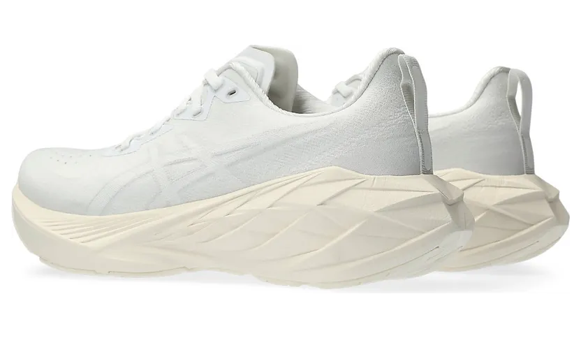 asics-novablast 1012B510.102
