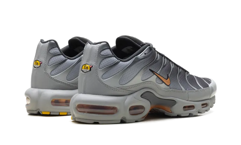 Nike Air Max Plus “Light Smoke Grey Hot Curry” (DM0032-037)