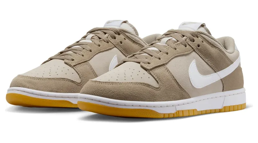 nike-dunk HQ1931-100