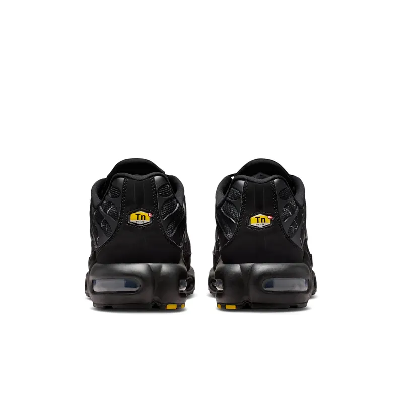 Nike Air Max Plus Grey (IQ0301-070)