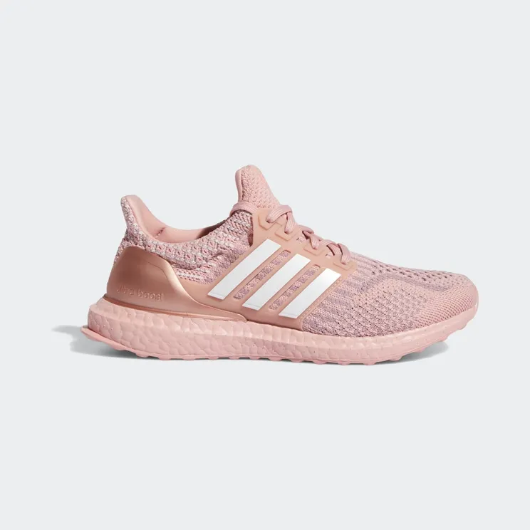 adidas Ultraboost 5.0 DNA Wonder Mauve / Cloud White / Acid Red (GY7953)