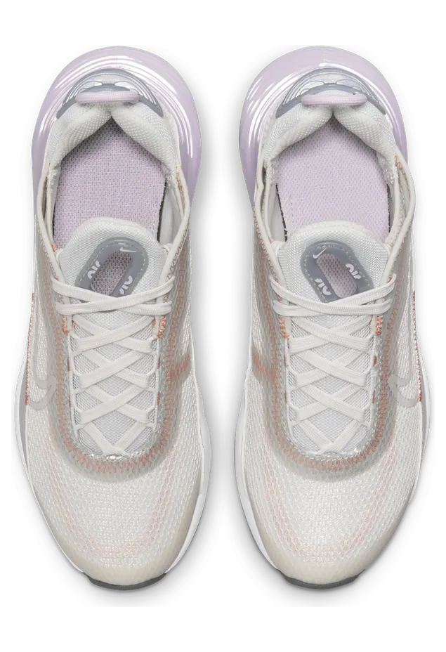 Nike Air Max 2090 Grijs (CJ4066-014)