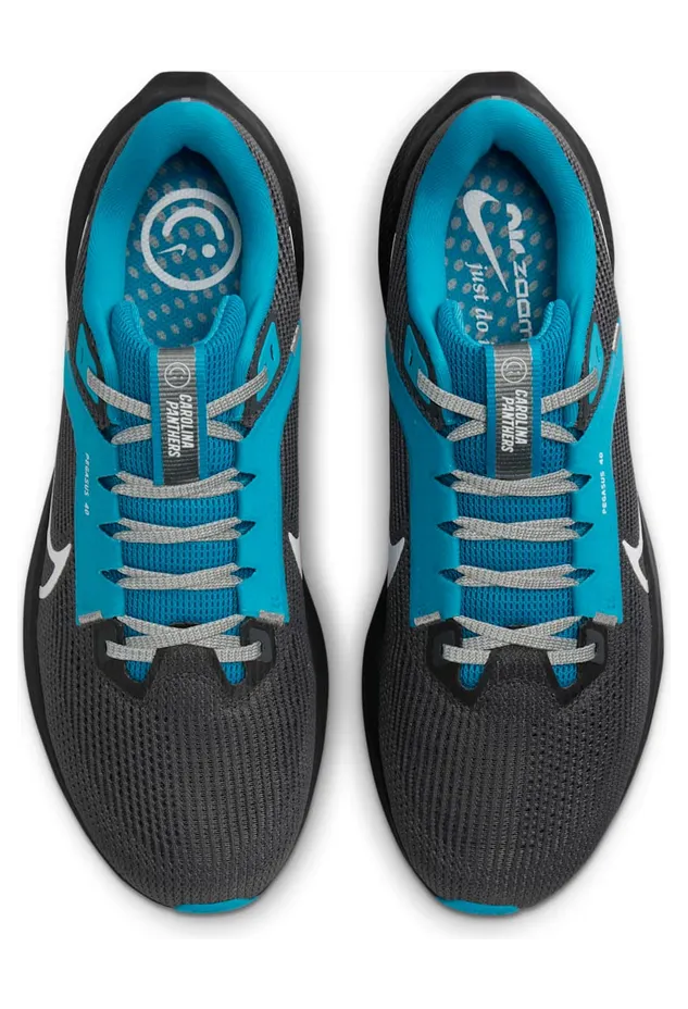 nike-air-pegasus DZ6010-001