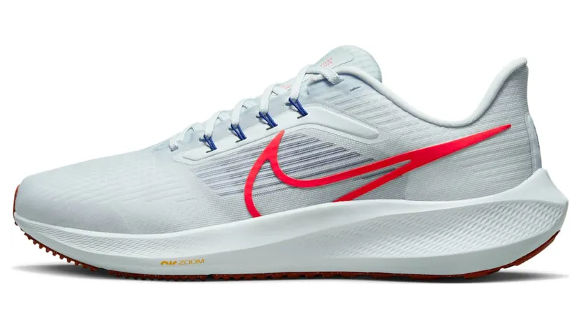 Nike Pegasus 39 “Grey” (DH4071-007)