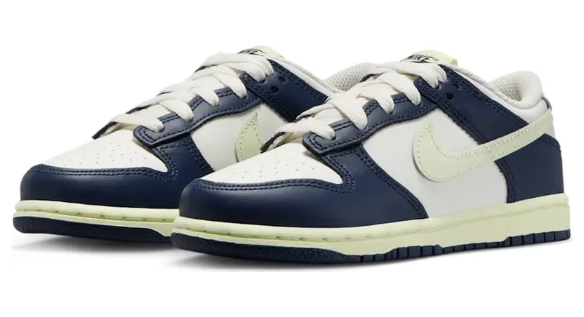 nike-dunk FB9108-127