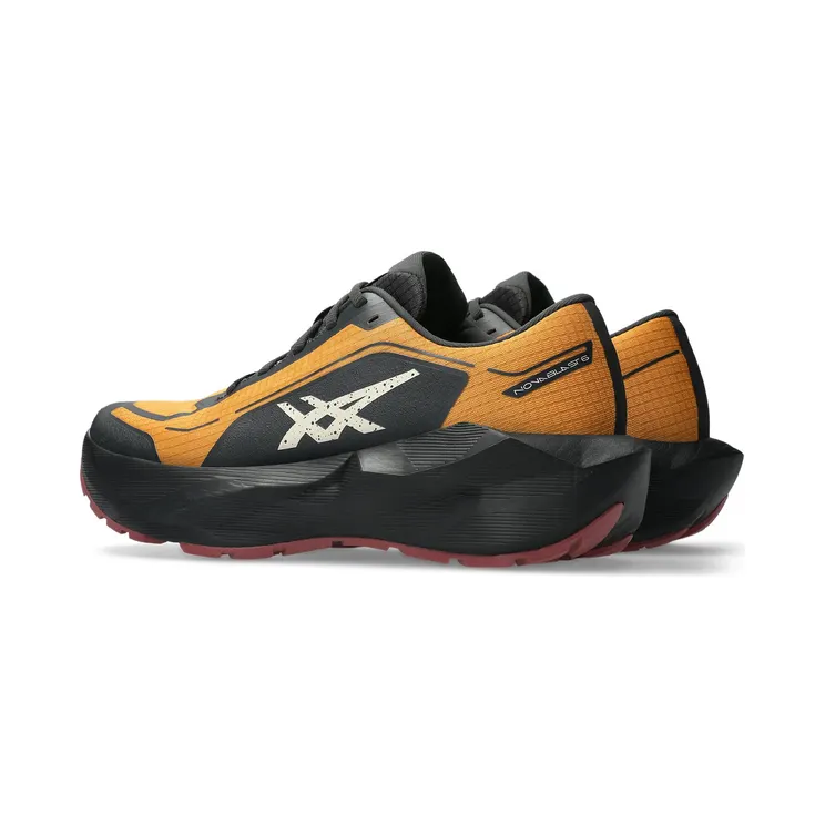asics-novablast 1011C256800
