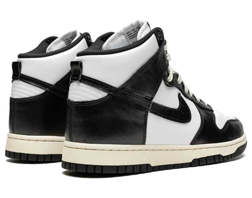 nike-dunk DQ8581-100