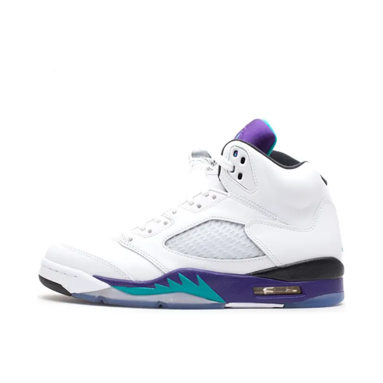 Air Jordan 5 Retro Grape (136027-108)