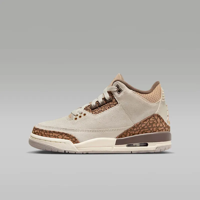 Air Jordan 3 GS “Palomino” (DM0967-102)
