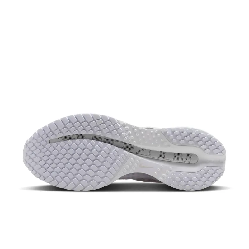 Nike Pegasus Premium “White Metallic Silver” (HQ2593-102)