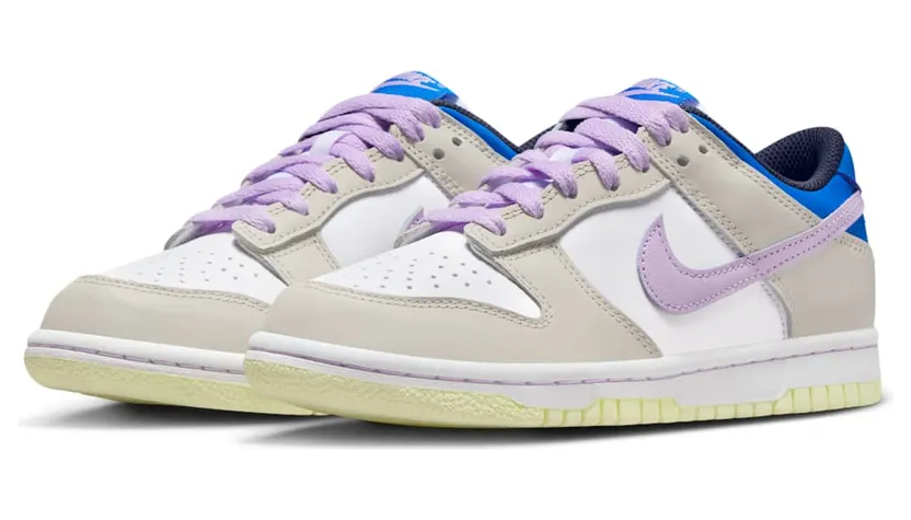 nike-dunk FB9109-103