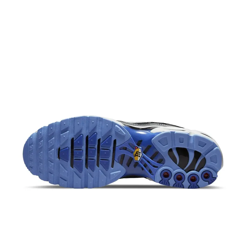 Nike Air Max Plus Black Royal Grey (DH4776-003)