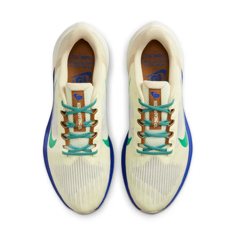 Nike Winflo 9 Premium Nike Moving Company (DV8997-100)