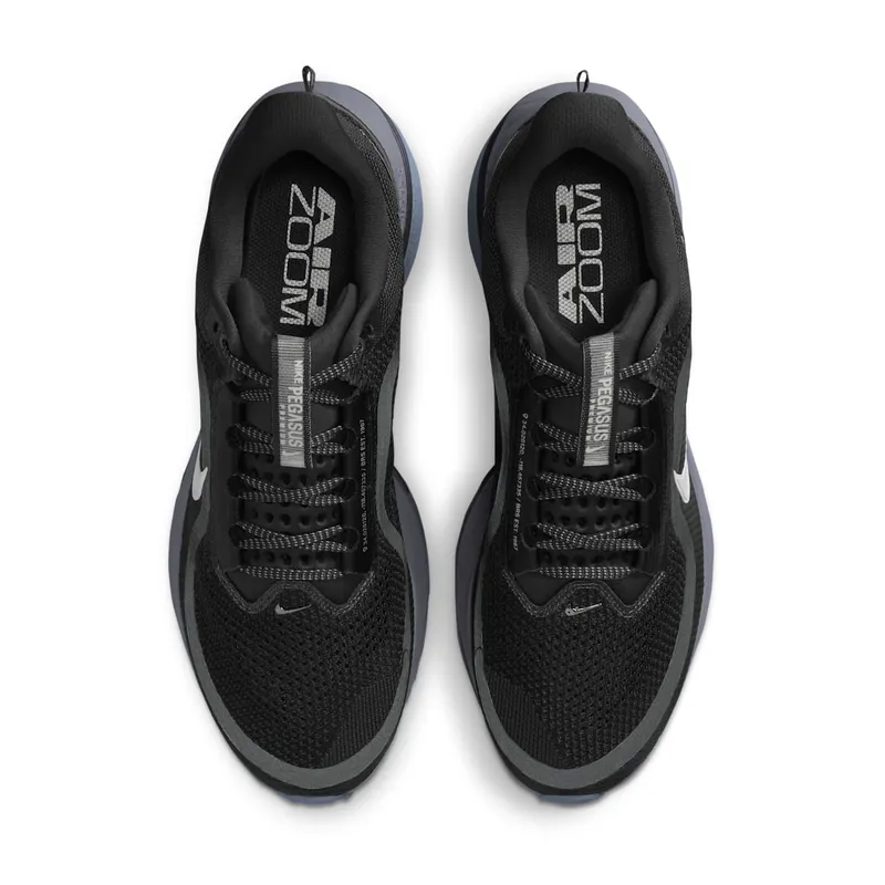 Nike Pegasus Premium “Anthracite” (HQ2592-006)