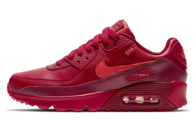 Nike Air Max 90 City Special Chicago (GS) (DH0149-600)