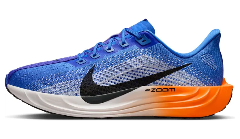 Nike Pegasus Crystal Blue/Hydrogen Blue/Lapis/Off Noir (FQ7262-403)