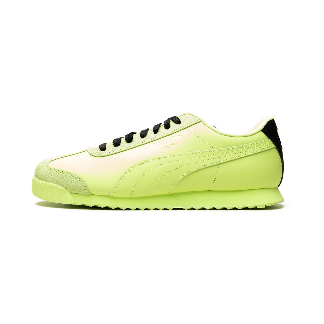 puma-roma 392282-01