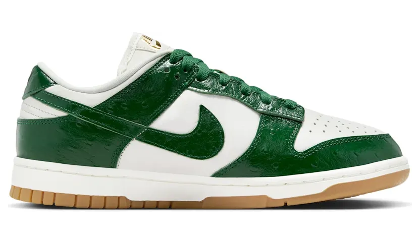 nike-dunk FJ2260-002