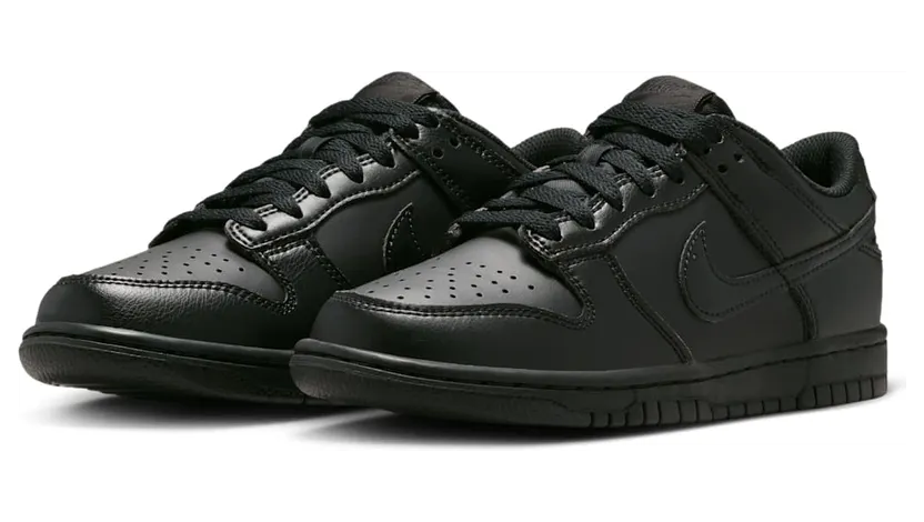 nike-dunk IU7766-009