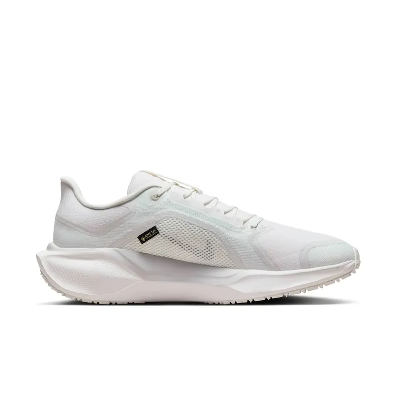 Nike Air Zoom Pegasus 41 “Gore-Tex” (FQ1356-101)