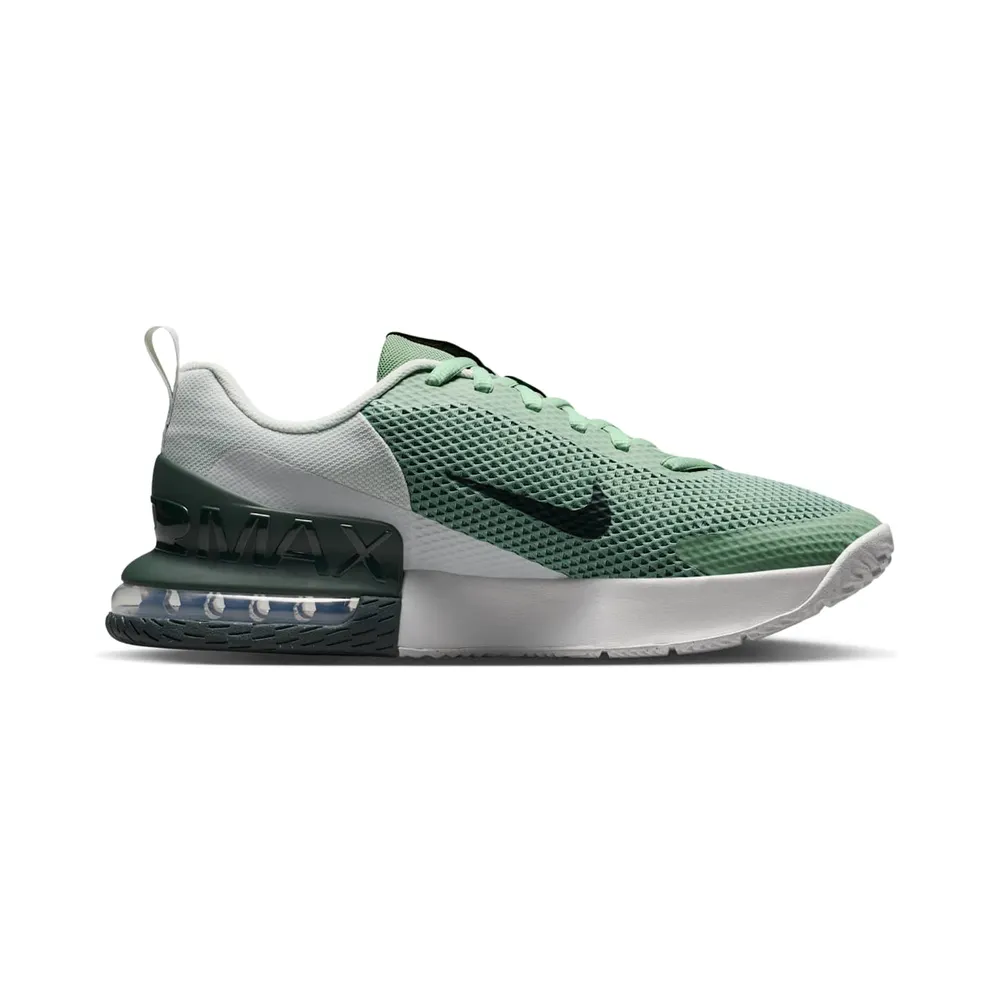 Nike Alpha Trainer Steam/Spruce Aura/Off White/Black Spruce (FQ1833-015)