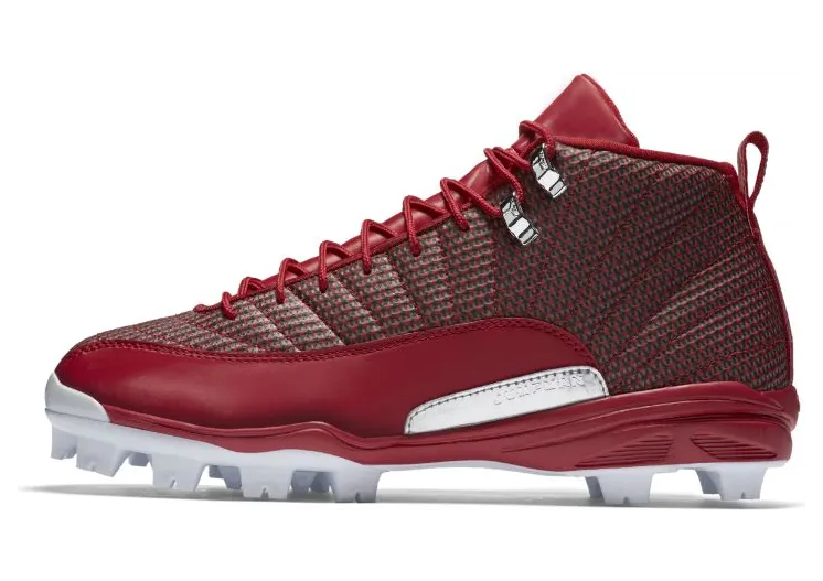 air-jordan-12 854566-600