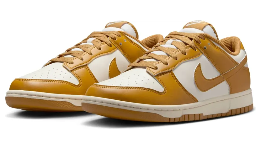 nike-dunk HF5441-108