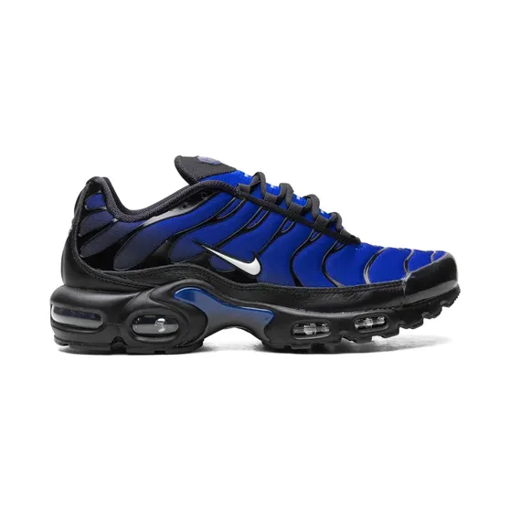 Nike Air Max Plus Black “Blue” (FQ7331)