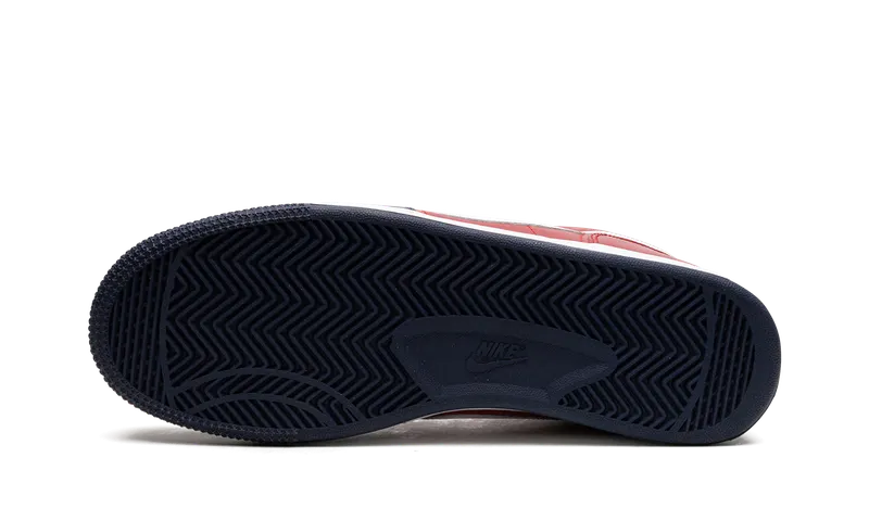Nike Zoom Terminator Low “Zona” (310208-611)
