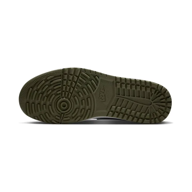 air-jordan-1 DD9315-121