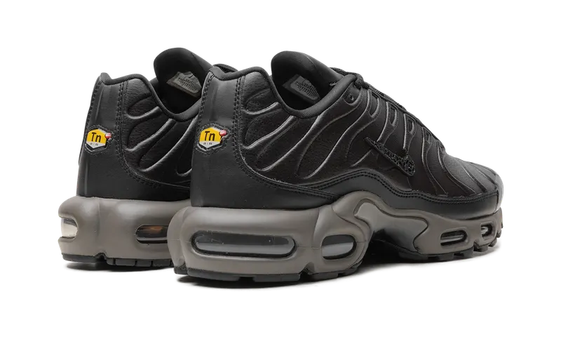 Nike Air Max Plus “Black Tea / Petra Brown” “Black Tea / Petra Brown” (HJ4519-200)