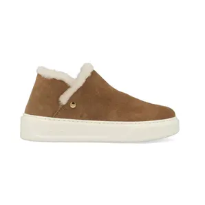woolrich Brown (WFW212523160M)