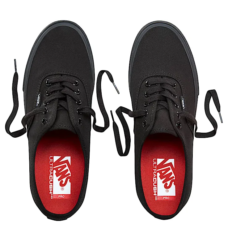vans-authentic-pro VN000Q0DBKA
