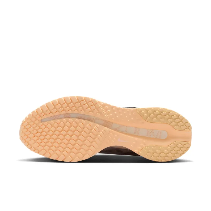 Nike Pegasus Premium Light Bone/Chalk/Arctic Orange/Metallic Silver (HQ2593-012)