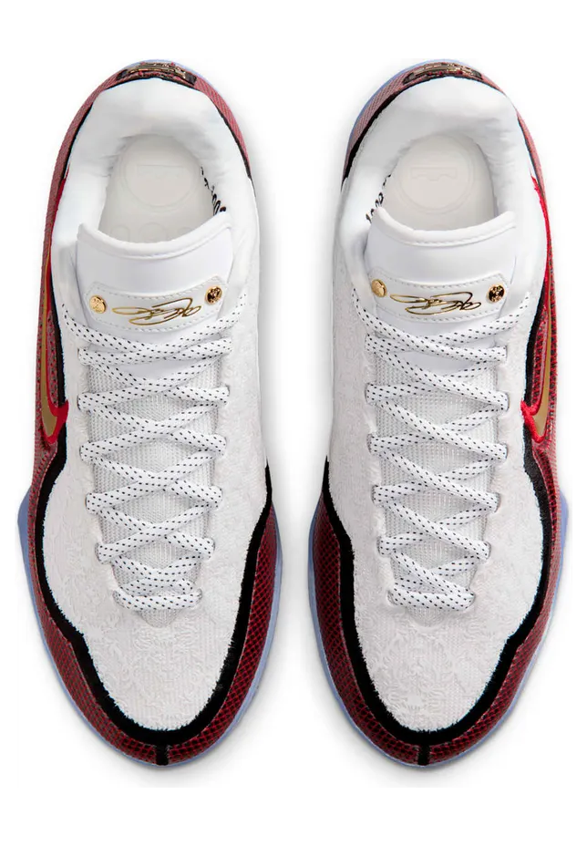 nike-lebron HJ5629-100