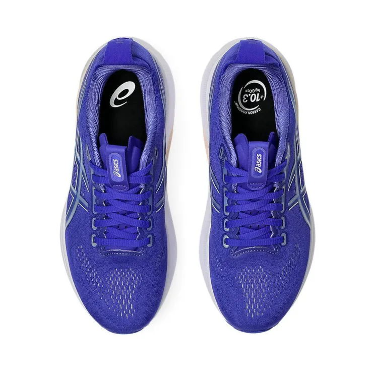 asics-gel-kayano 1012B838-405
