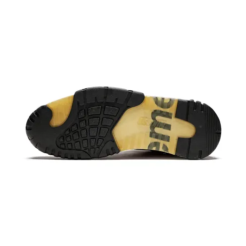 nike-air-trainer-2 317646-661