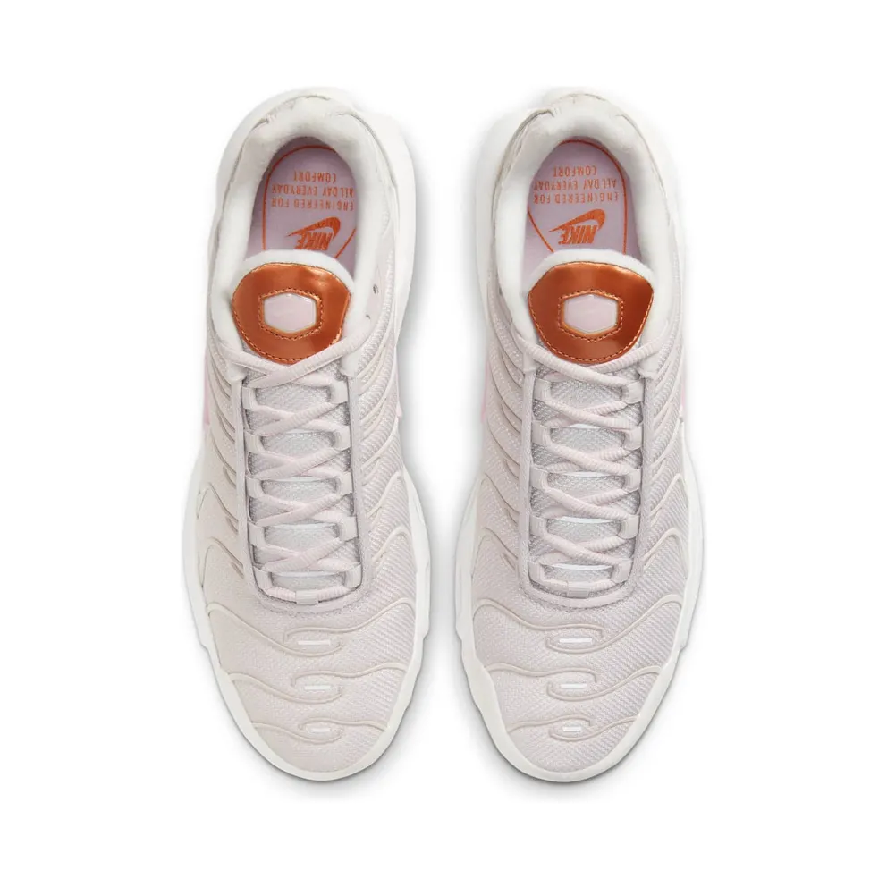 Nike Air Max Plus Grey (DD6612-001)