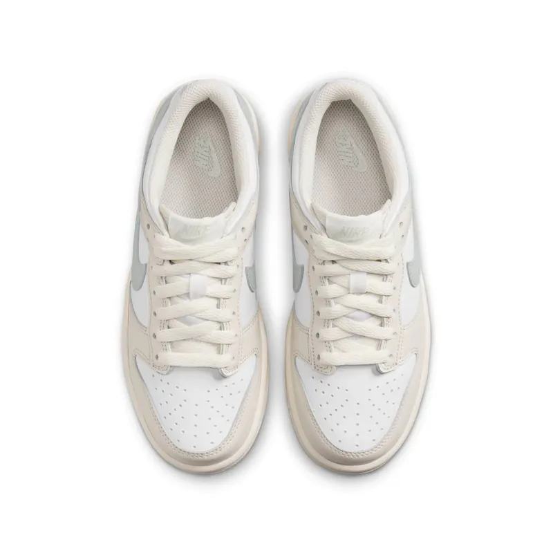 Nike Dunk Low Phantom Light Silver (FB9109-109)