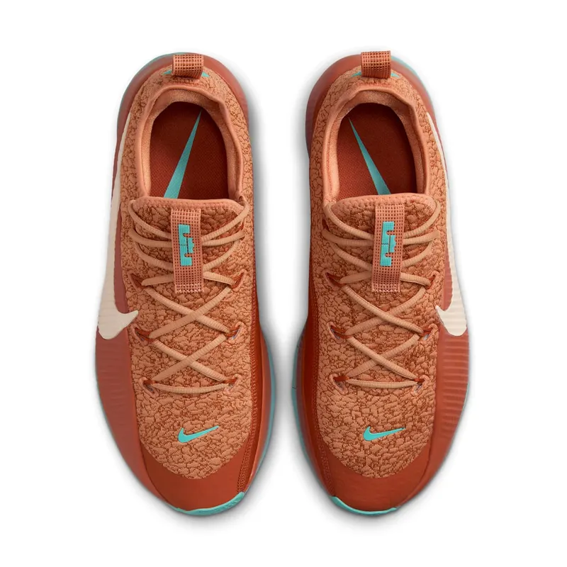 Nike LeBron TR 1 Better With Age (FJ6151-200)