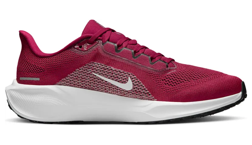 nike-air-zoom IB3246-600