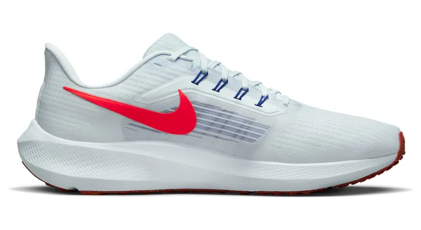 nike-air-pegasus DH4071-007